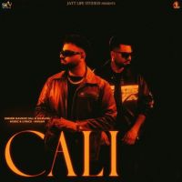 Cali Navroz Gill mp3 song download, Cali Navroz Gill full album
