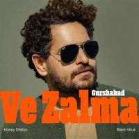 Ve Zalma By Gurshabad full mp3 album
