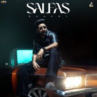 Salfas Baaghi mp3 song download, Salfas Baaghi full album