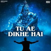 Tu Ae Dikhe Hai Ndee Kundu mp3 song download, Tu Ae Dikhe Hai Ndee Kundu full album