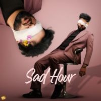 Sad Hour By Chandra Brar full mp3 album