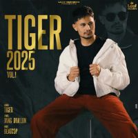 Samunder Tiger mp3 song download, Tiger 2025 Vol. 1 Tiger full album
