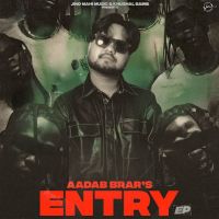 Entry Aadab Brar mp3 song download, Entry Aadab Brar full album