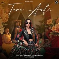 Tere Aali Shiva Choudhary mp3 song download, Tere Aali Shiva Choudhary full album