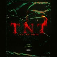 TNT Jxggi mp3 song download, TNT Jxggi full album