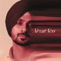 Tu Naa Aya Nirvair Pannu mp3 song download, NirvairNess Nirvair Pannu full album