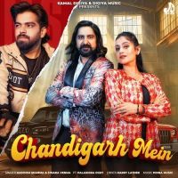 Chandigarh Mein Masoom Sharma, Swara Verma mp3 song download, Chandigarh Mein Masoom Sharma, Swara Verma full album