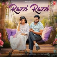 Razzi Razzi Harjeet Deewana mp3 song download, Razzi Razzi Harjeet Deewana full album