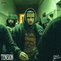 Tension Dhanda Nyoliwala mp3 song download, Tension Dhanda Nyoliwala full album