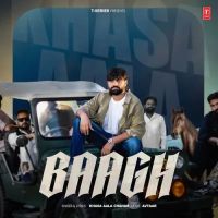 Baagh Khasa Aala Chahar mp3 song download, Baagh Khasa Aala Chahar full album
